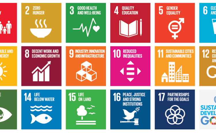  The Impact of using UN Sustainable Development Goals (SDGs) and the 2030 Agenda as a Performance Indicator in University Ranking